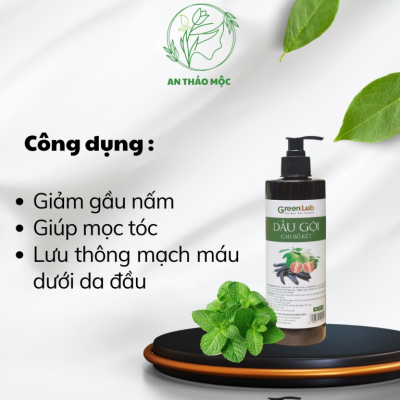 Dầu gội bồ kết cô đặc Greenlab