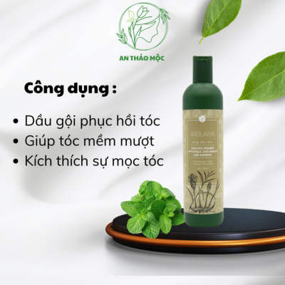 Dầu gội thảo dược hà thủ ô WEILAIYA