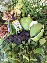 Dầu gội thảo dược hà thủ ô