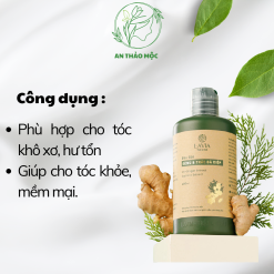 Dầu gội Gừng – Trắc bá diệp LAVIA