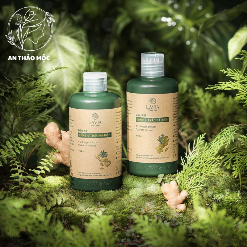 Dầu gội trị rụng tóc kích thích mọc tóc