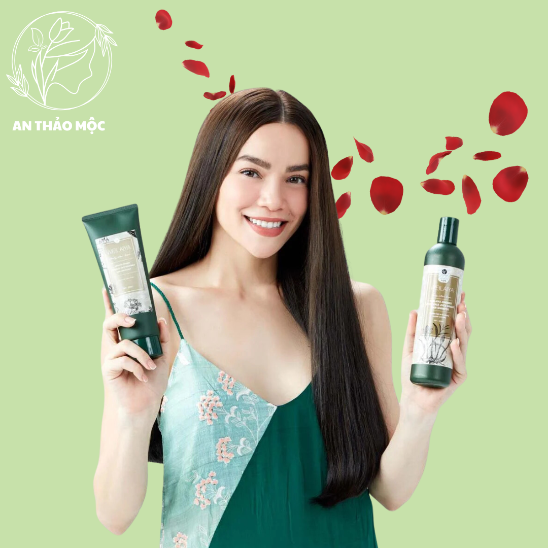 Dầu gội rừng hà thủ ô WEILAIYA